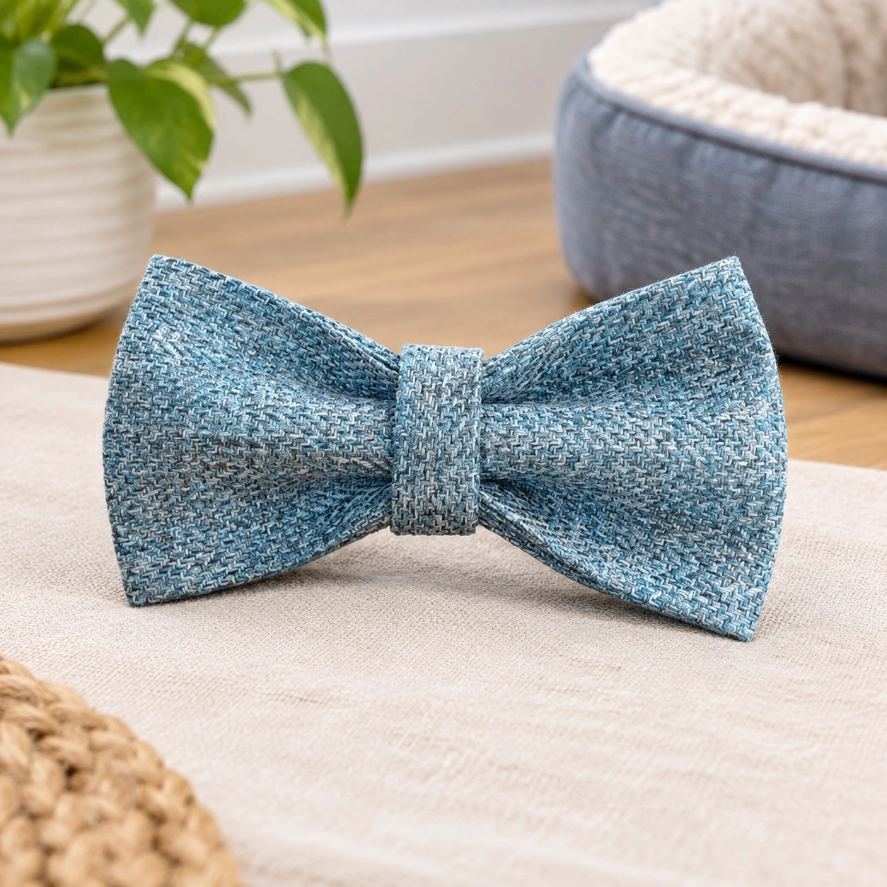 Bowtie - Capri — Bandanas, bows and coats