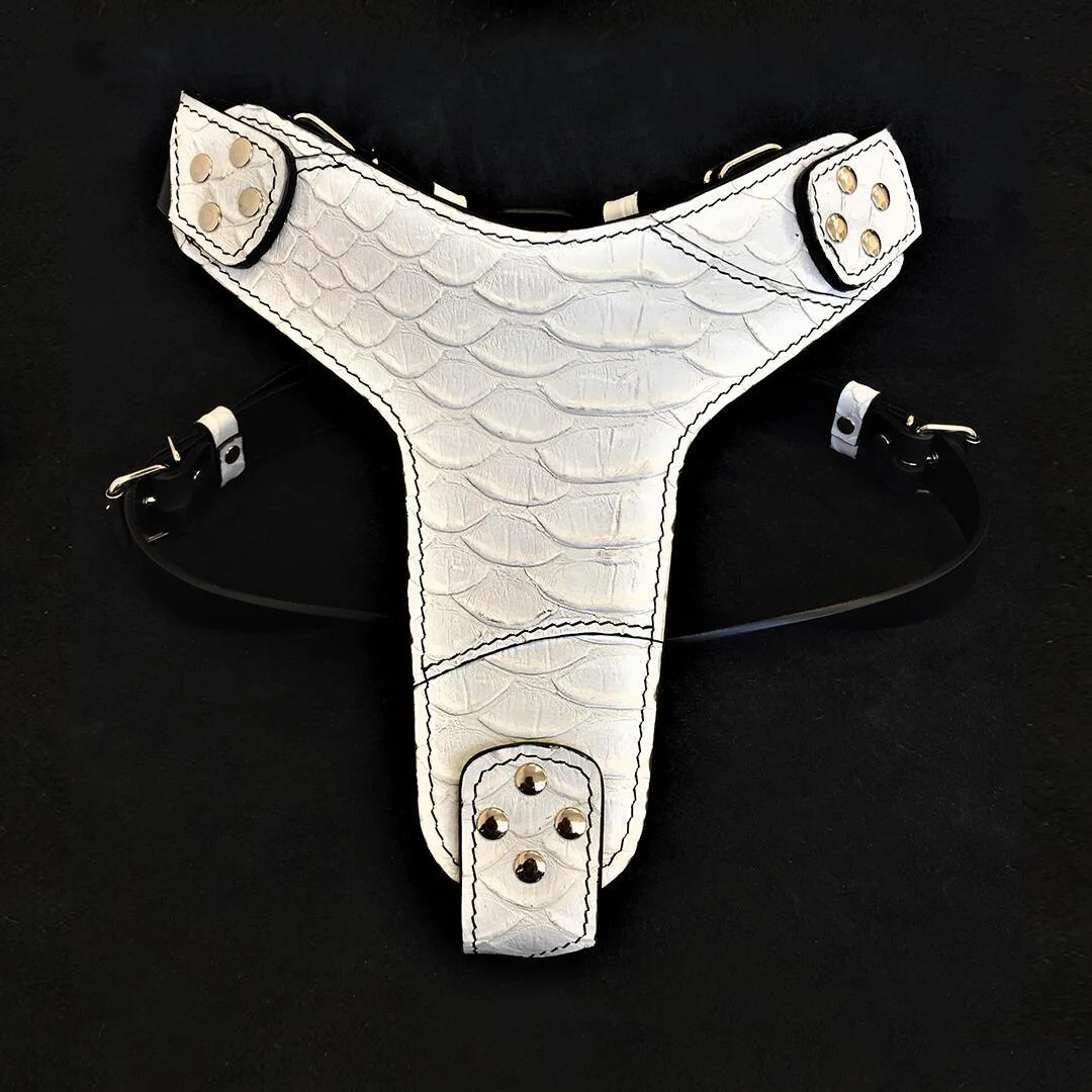 Bestia The ''Dragon Scale'' harness — Obroże, smycze i szelki