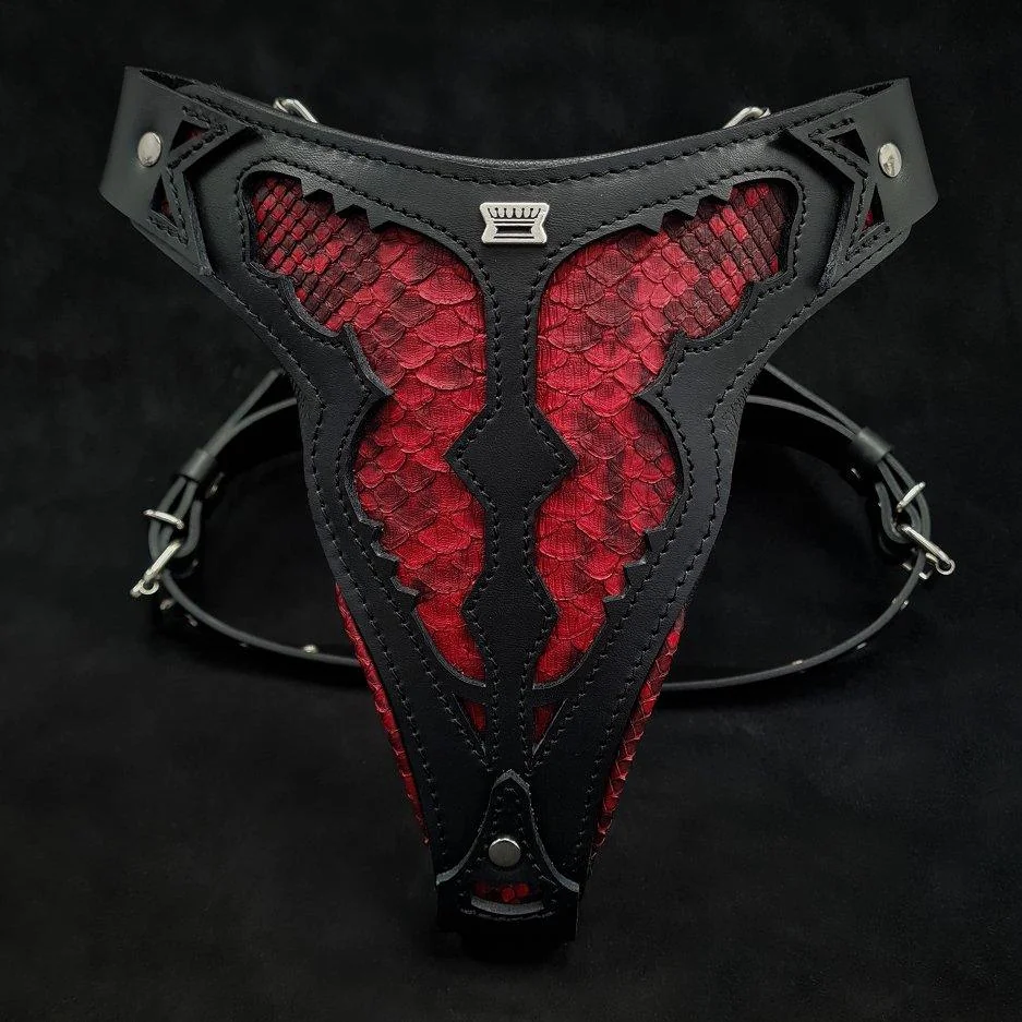 Bestia The ''Red Dragon'' harness — Obroże, smycze i szelki